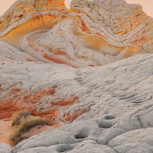 Meet your Posher, Aurelle